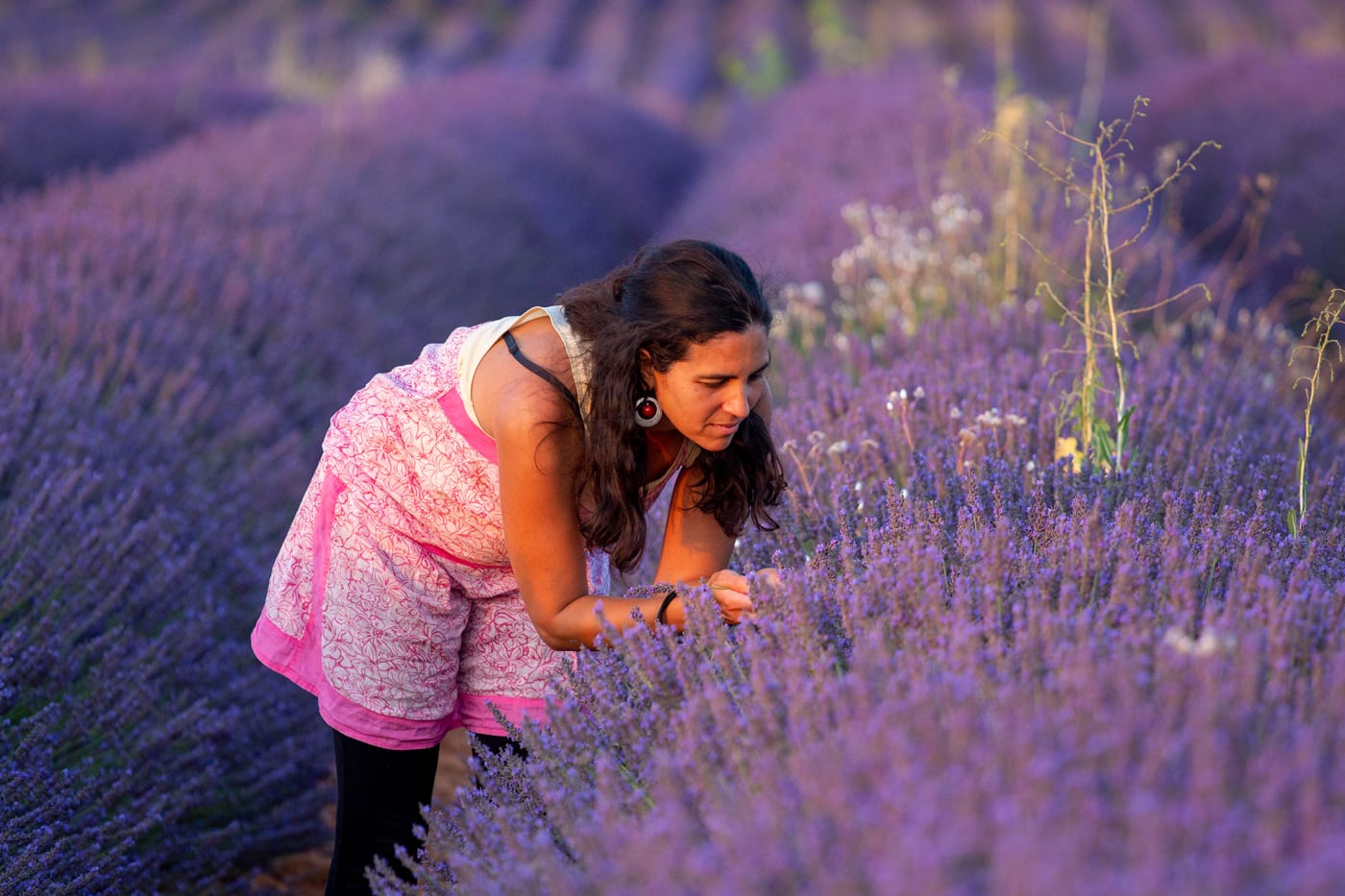 Sophia dans un champs de lavande à Valensole dans notre belle Provence